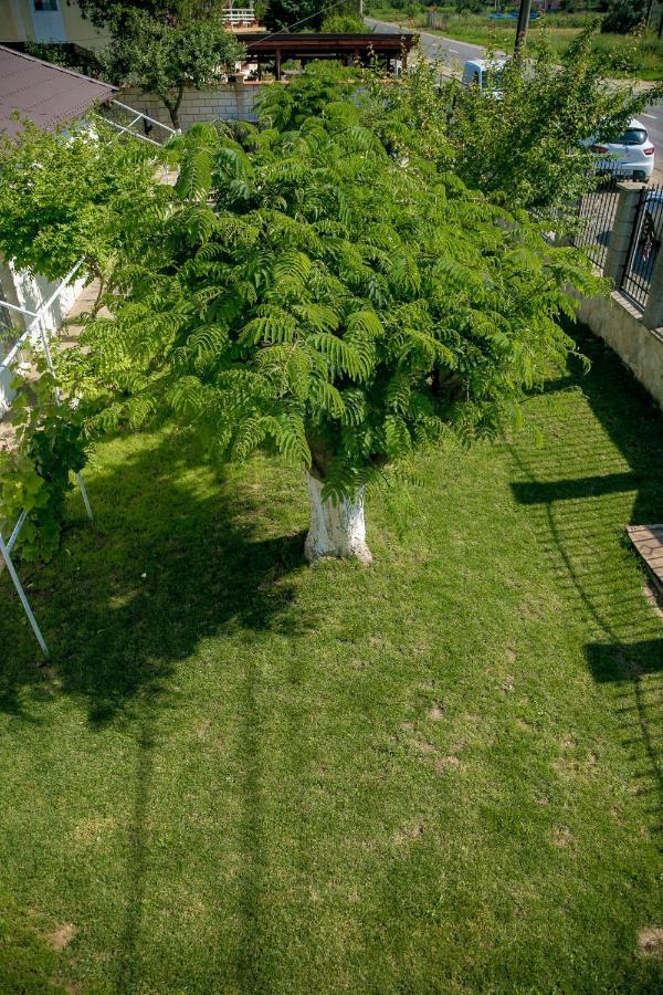 Hotel Casa Iordachescu Două Mai Exteriér fotografie